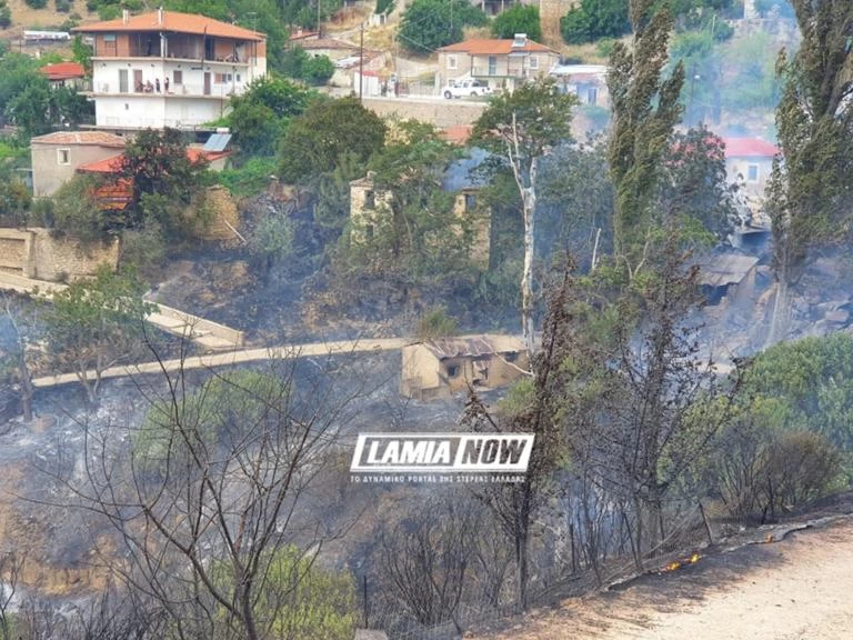 Μάχη με τη φωτιά στη Φθιώτιδα: Κάηκαν αποθήκες – Κινδύνευσαν σπίτια (βίντεο)